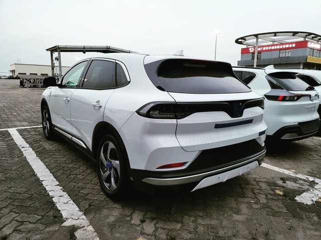 VinFast VF 8 bất ngờ xuất hiện tại Ấn Độ - Tham vọng bán xe Việt tại quốc gia tỷ dân thứ 2 thế giới sau Mỹ và châu Âu? - Ảnh 3.