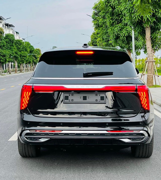 Lô Hongqi E-HS9 6 chỗ và 7 chỗ đầu tiên về Việt Nam: SUV chạy điện, giá từ 2,968 tỷ đồng, ngang cỡ Mercedes GLS và BMW X7 - Ảnh 6.