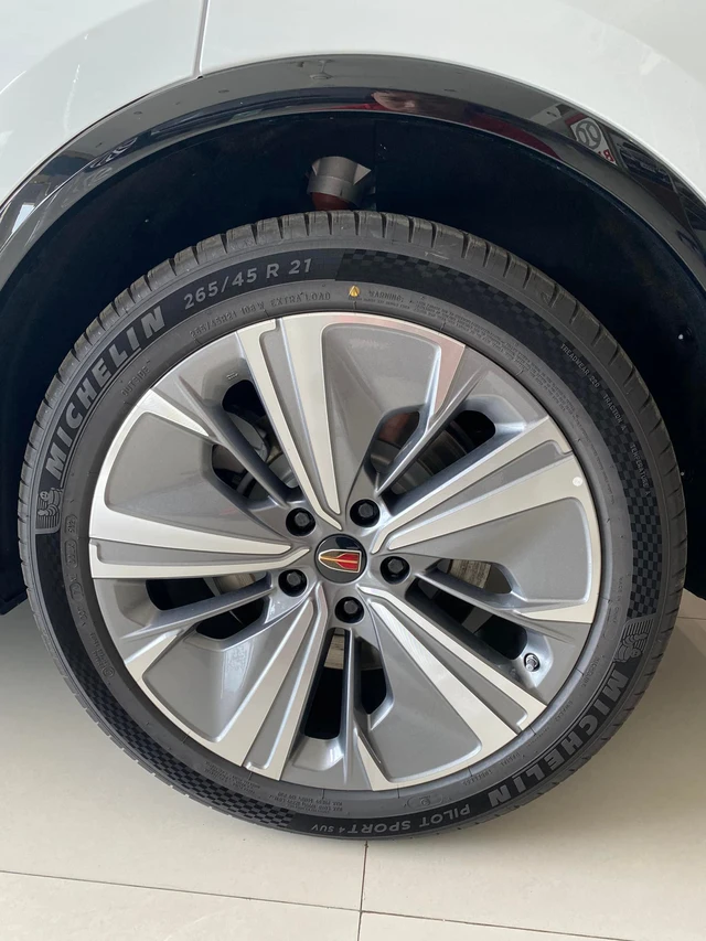 Lô Hongqi E-HS9 6 chỗ và 7 chỗ đầu tiên về Việt Nam: SUV chạy điện, giá từ 2,968 tỷ đồng, ngang cỡ Mercedes GLS và BMW X7 - Ảnh 3. Lô Hongqi E-HS9 6 chỗ và 7 chỗ đầu tiên về Việt Nam: SUV chạy điện, giá từ 2,968 tỷ đồng, ngang cỡ Mercedes GLS và BMW X7 - Ảnh 3.