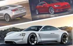 Nghịch lý Tesla: Sản xuất xe 'xanh' nhưng lại chặt rừng xây nhà máy