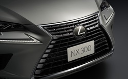 Đua với Mercedes-Benz GLC, Lexus NX300 2020 ra mắt tại Việt Nam với giá 2,56 tỷ đồng