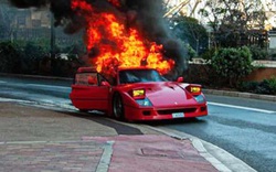 Xót xa Ferrari F40 bốc cháy dữ dội, chủ xe chỉ còn cách bán sắt vụn